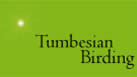 Tumbesian Birding