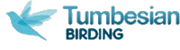 Tumbesian Birding
